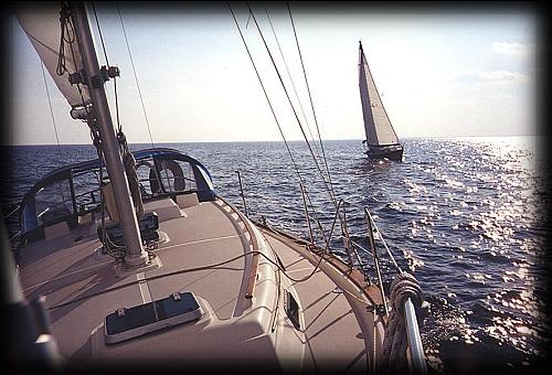 FromBowFeathered.jpg (44039 bytes)